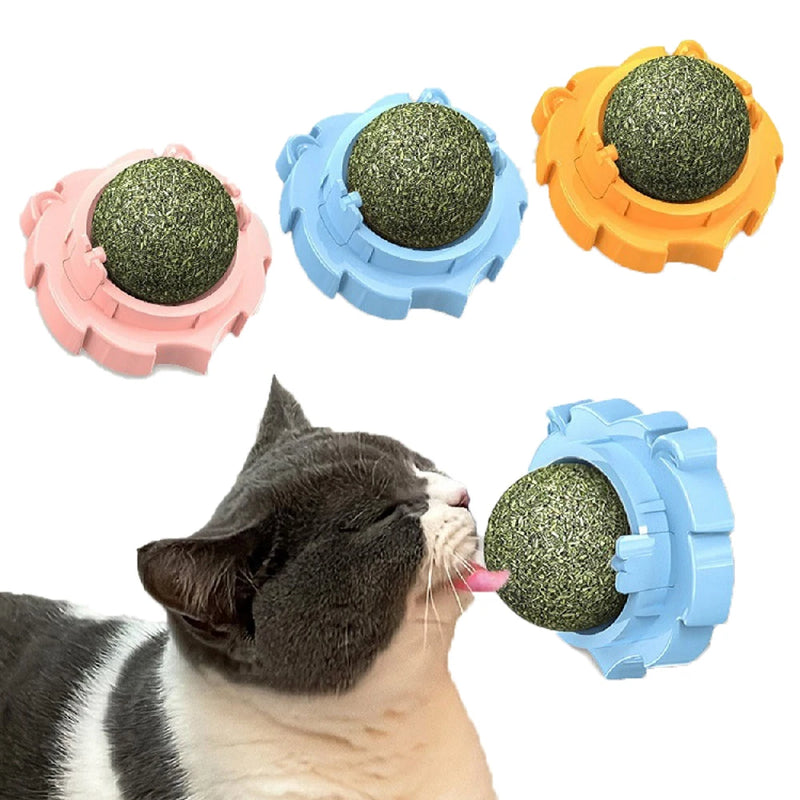 Natural Catnip Grass Balls para Pet, Lickable Snack, gatinho, arranhões, brinqu