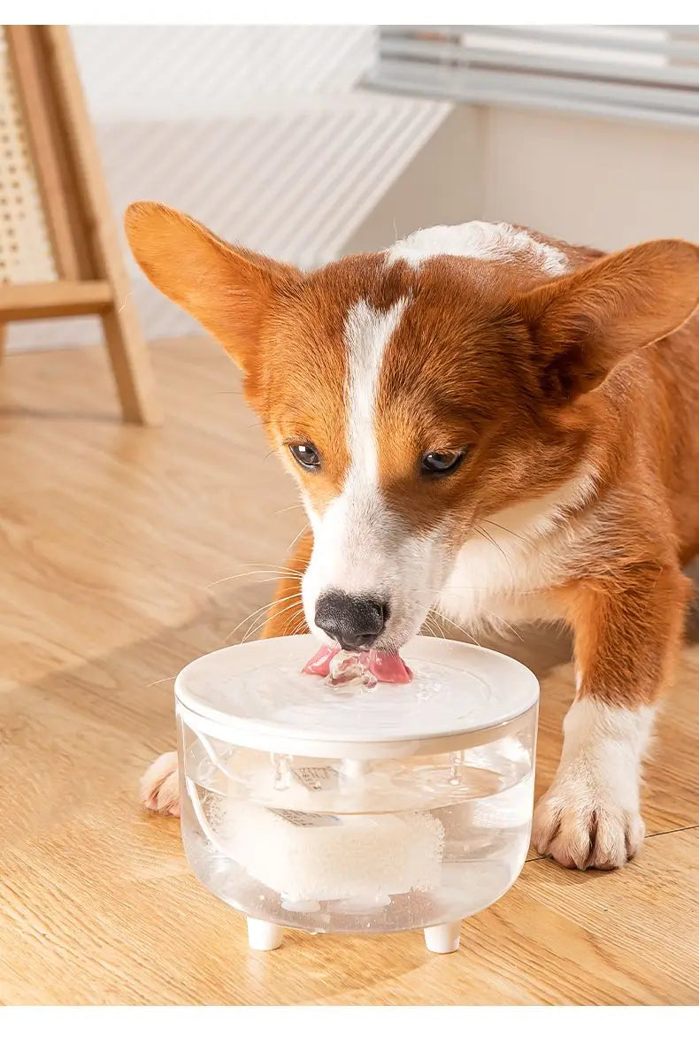 Fonte de água elétrica muda Pet, Filtro automático Cat Drink Bowl, Beber Disp