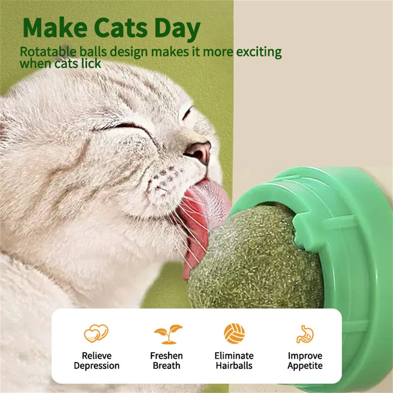 Natural Catnip Grass Balls para Pet, Lickable Snack, gatinho, arranhões, brinqu